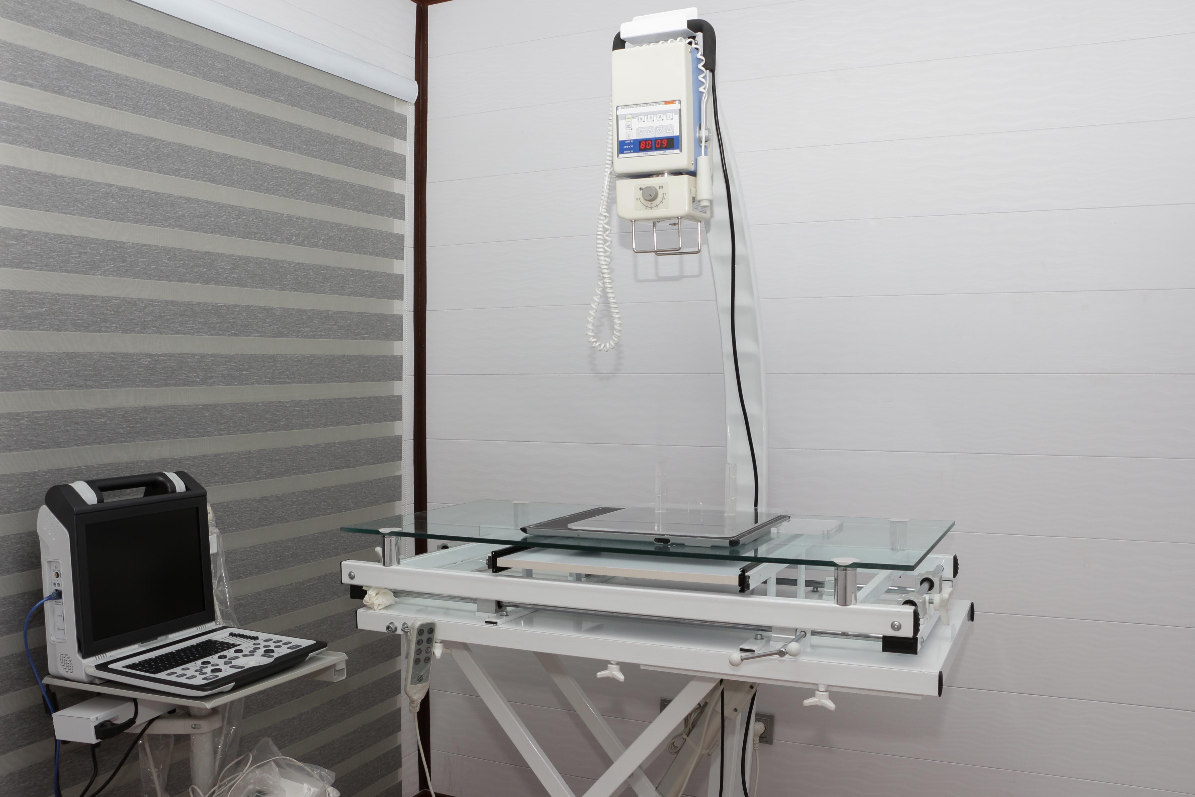 بخش های تصویر برداری بخش های تصویر برداری