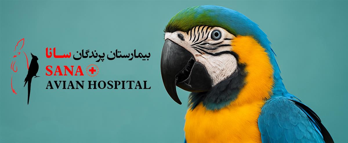 کلینیک کلینیک